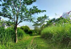 Henry Park (D10), Terrace #460753401